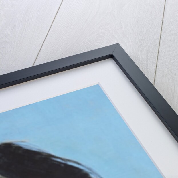 Divia by Endre Roder