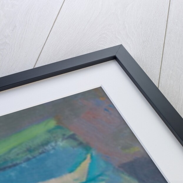 The Young Model by Endre Roder