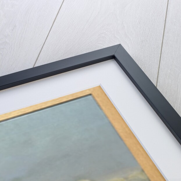 SS Juno, 1866 by English School