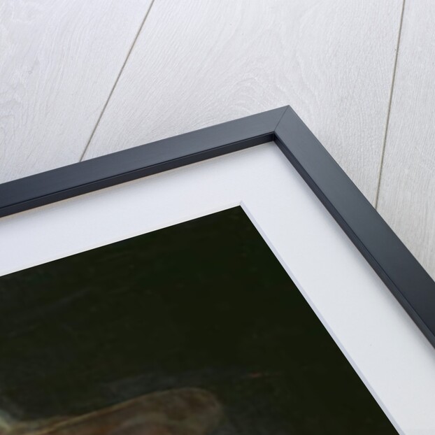 Girl with a Rooster by Jacob Gerritsz Cuyp