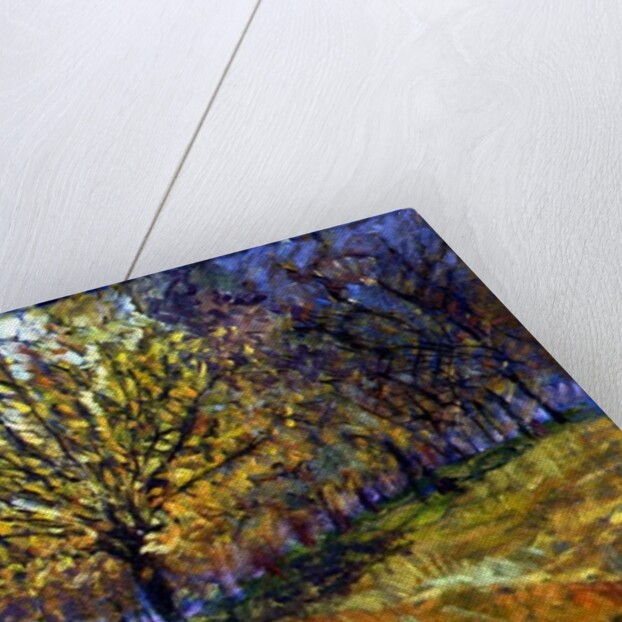 November in Hyde Park, 1997 by Patricia Espir