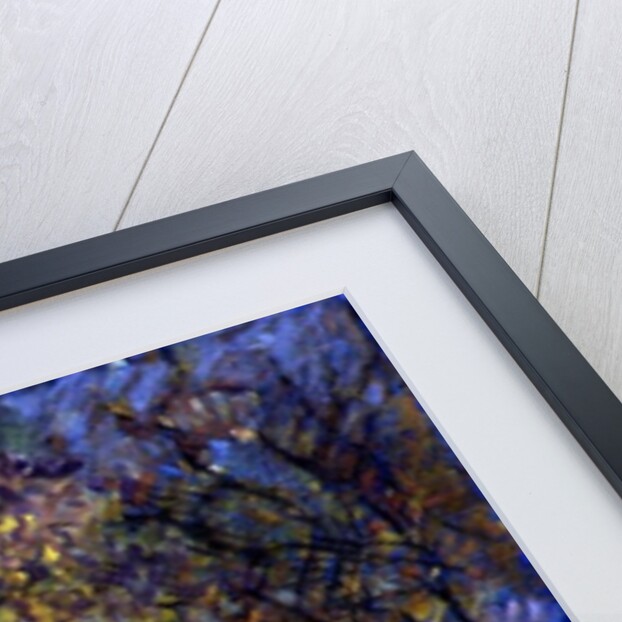 November in Hyde Park, 1997 by Patricia Espir