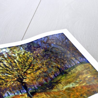 November in Hyde Park, 1997 by Patricia Espir