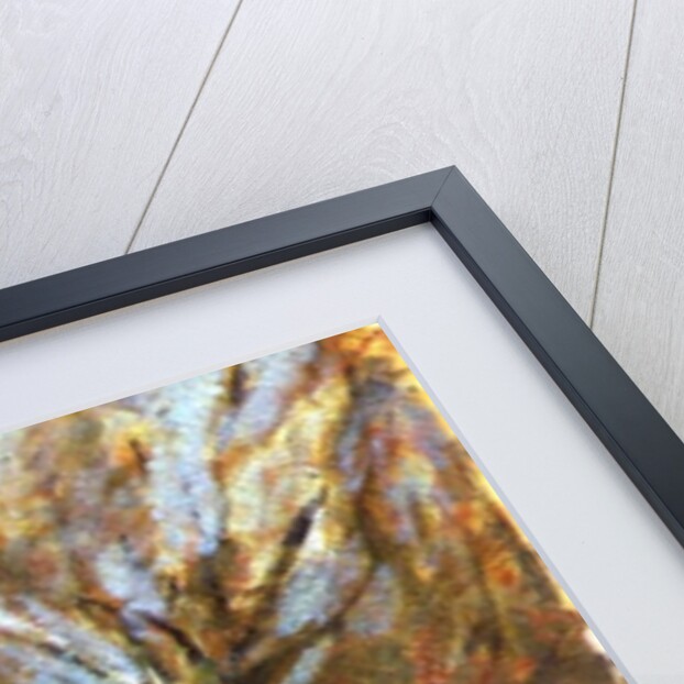 Gas Lights in Hyde Park, 1992 by Patricia Espir