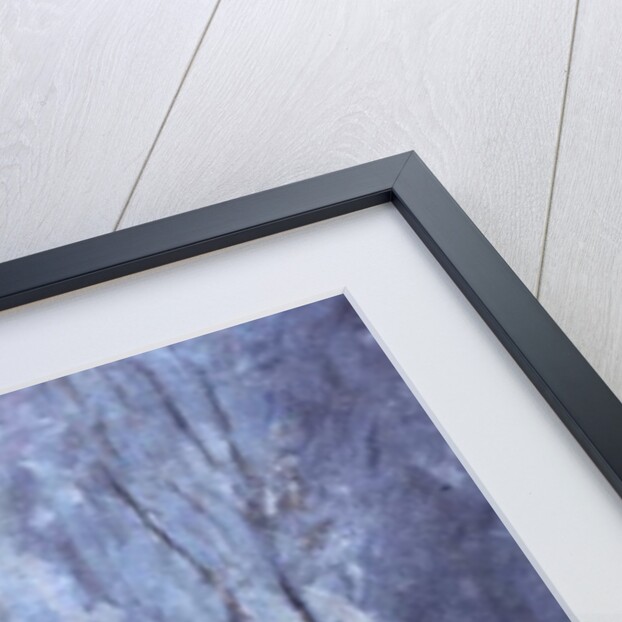 Snow in the Garden, 1993 by Patricia Espir