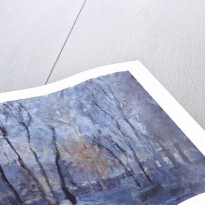 Snow in the Garden, 1993 by Patricia Espir