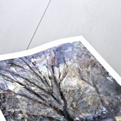 Snow Scene by Patricia Espir