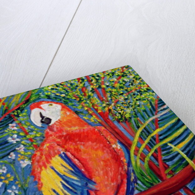 Pretty Polly by Patricia Eyre