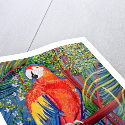 Pretty Polly by Patricia Eyre