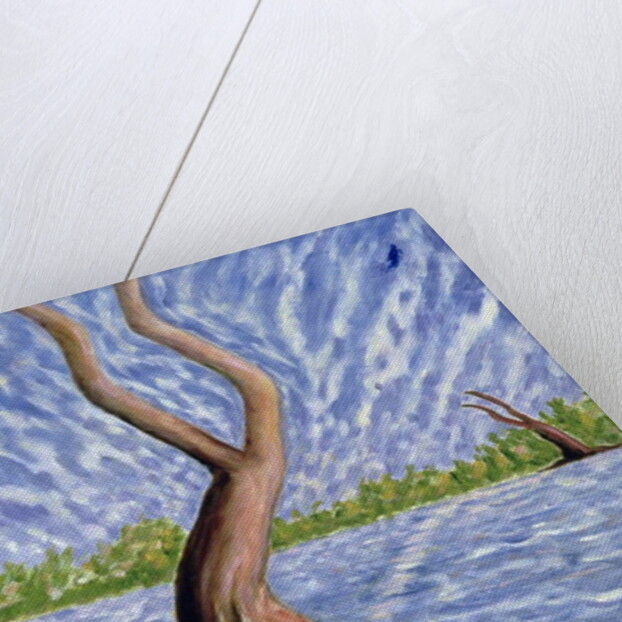 Frustrated Love by Patricia Eyre