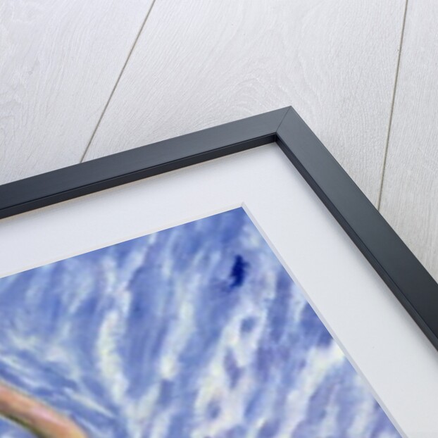 Frustrated Love by Patricia Eyre