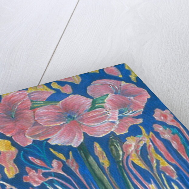 Amarylis by Patricia Eyre