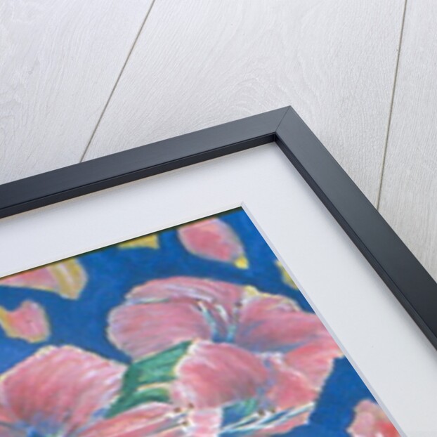 Amarylis by Patricia Eyre