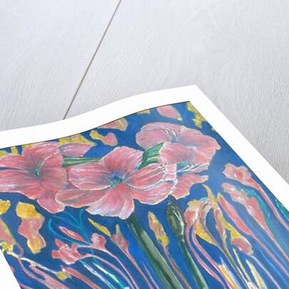 Amarylis by Patricia Eyre