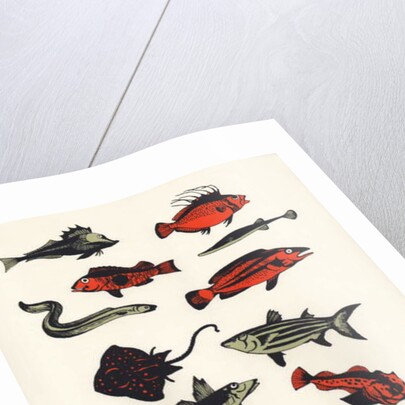 Orange Plain Fish, 2016 by Eliza Southwood