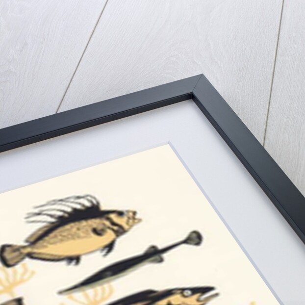 Peach Seaweed Fish, 2015 by Eliza Southwood