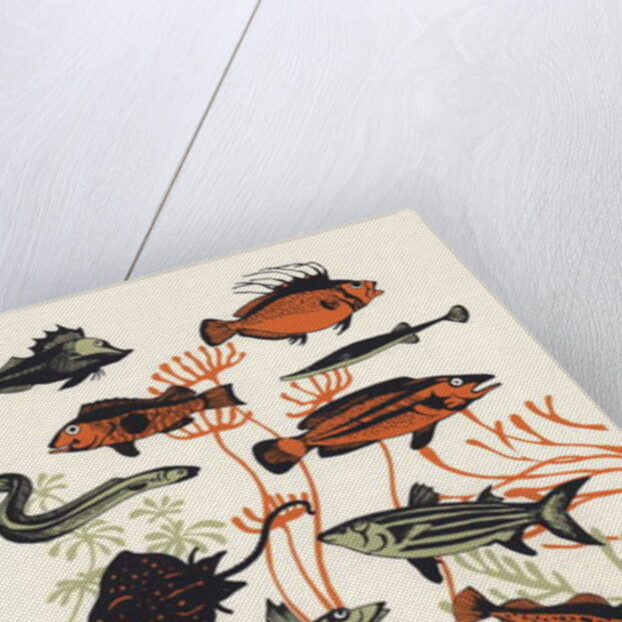 Orange Seaweed Fish, 2015 by Eliza Southwood