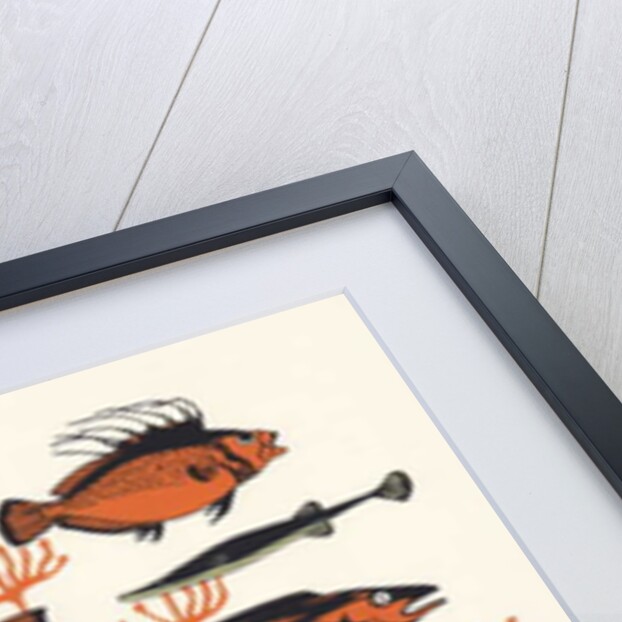 Orange Seaweed Fish, 2015 by Eliza Southwood