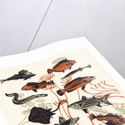 Orange Seaweed Fish, 2015 by Eliza Southwood