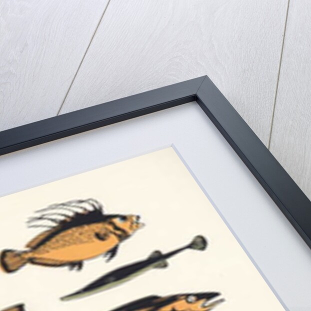 Plain Fish, 2015 by Eliza Southwood