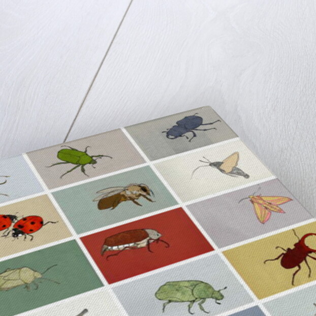 Insects, 2012 by Eliza Southwood