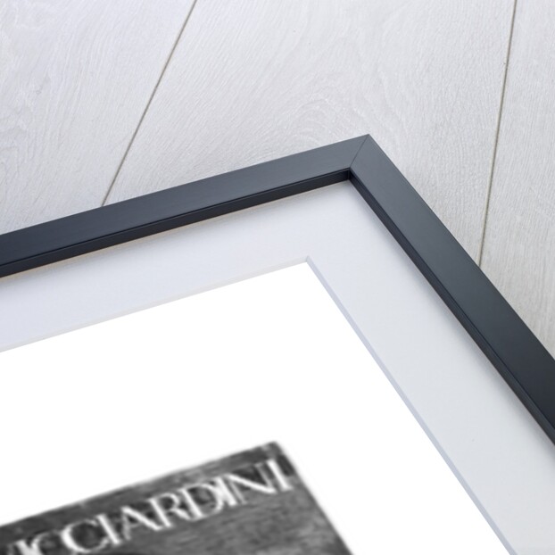 Portrait of Francesco Guicciardini by Italian School