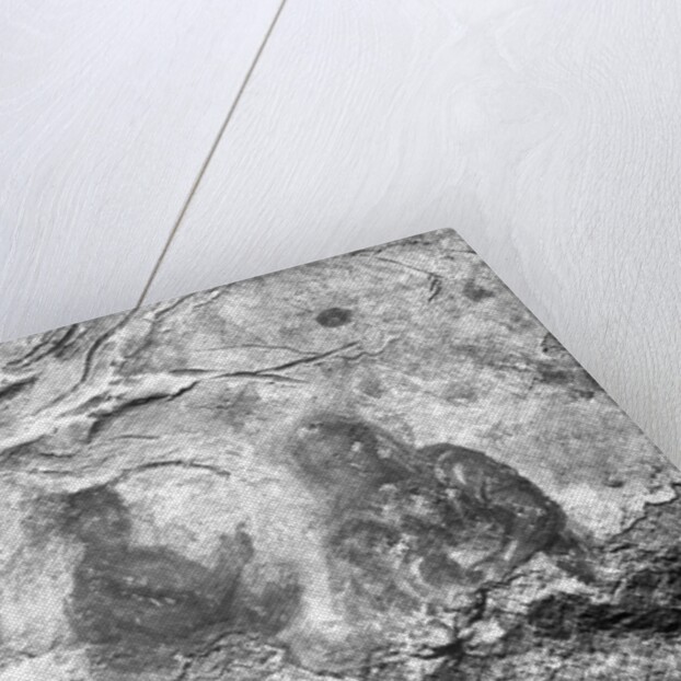 The Prophecy of Isaiah by Roman