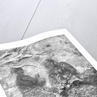 The Prophecy of Isaiah by Roman