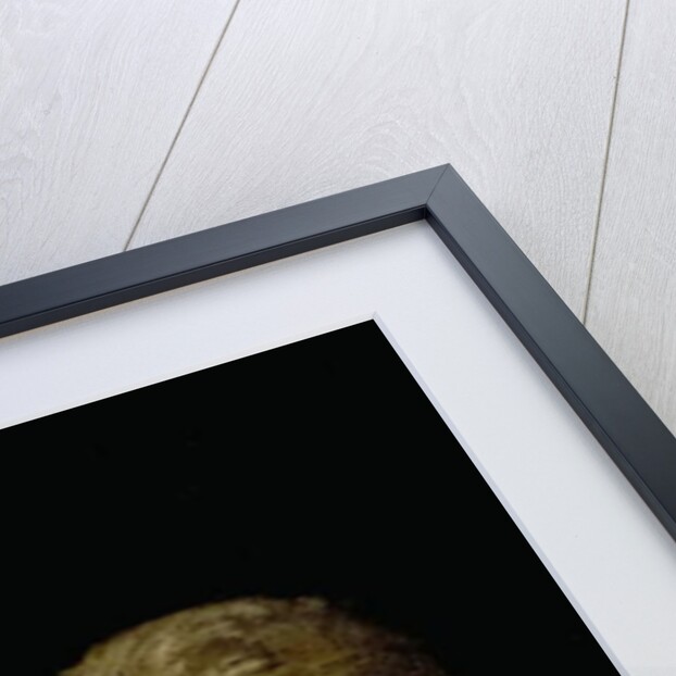 Portrait of Wolfgang Amadeus Mozart at the Piano, 1789 by Joseph Lange