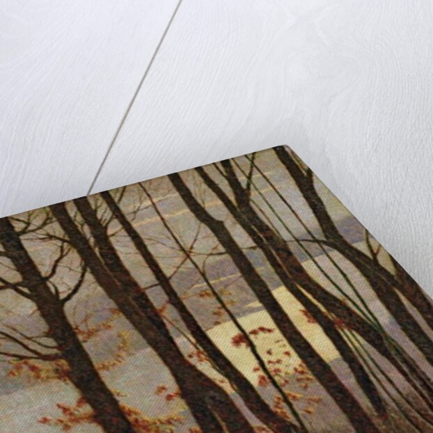 Morning by Vittore Grubicy de Dragon