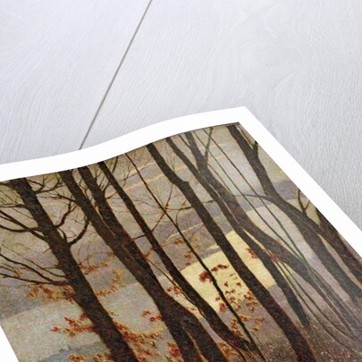 Morning by Vittore Grubicy de Dragon