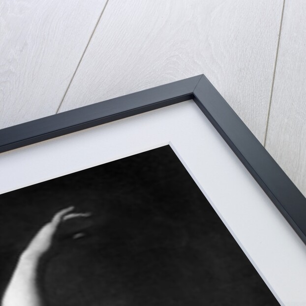 Daedalus and Icarus by Andrea Sacchi