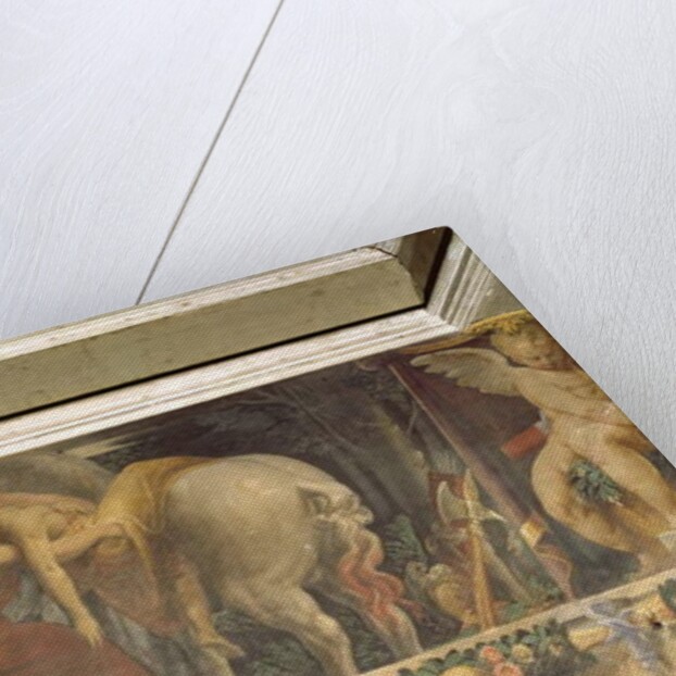 The Death of Camilla by Nicolo dell' Abate