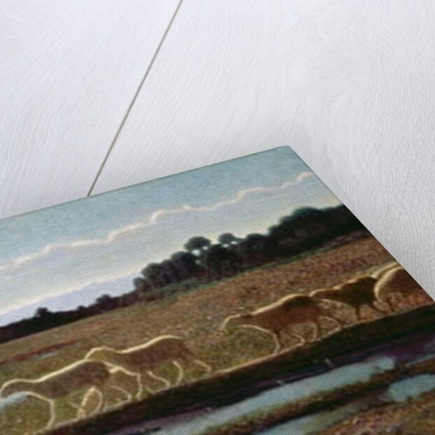 The Mirror of Life: That which the First One does, the Others follow, 1895-98 by Giuseppe Pellizza da Volpedo