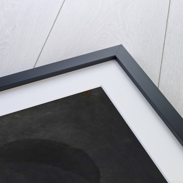 Self Portrait by Antonio Pollaiuolo