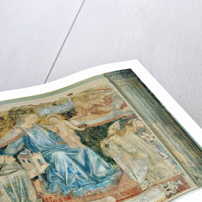 Madonna della Misericordia by Domenico di Bartolo