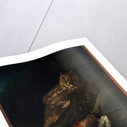 An owl with its prey by Unknown Artist