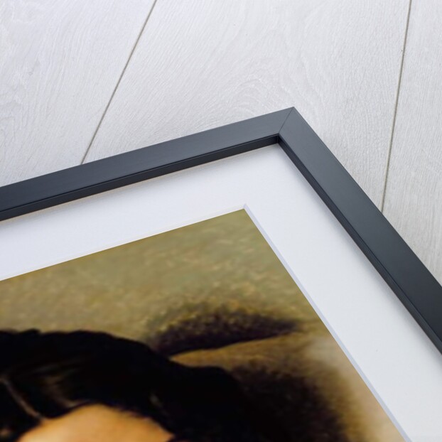 Carolina Zucchi, 1825 by Francesco Hayez