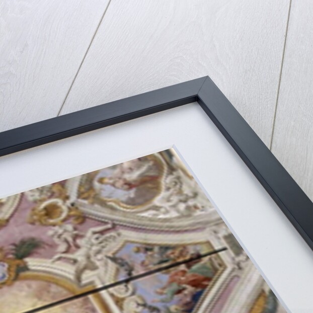 View of the ceiling, 1720 by Guglielmo Borremans