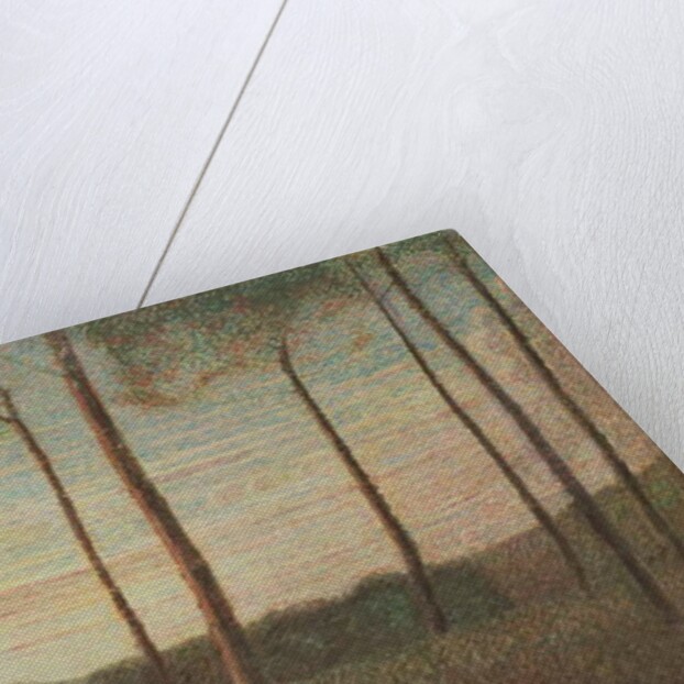 Landscape of the Villa Borghese, 1906 by Giuseppe Pellizza da Volpedo