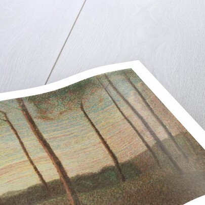 Landscape of the Villa Borghese, 1906 by Giuseppe Pellizza da Volpedo