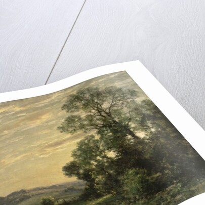 Landscape near Arundel, Sussex by Jose Weiss