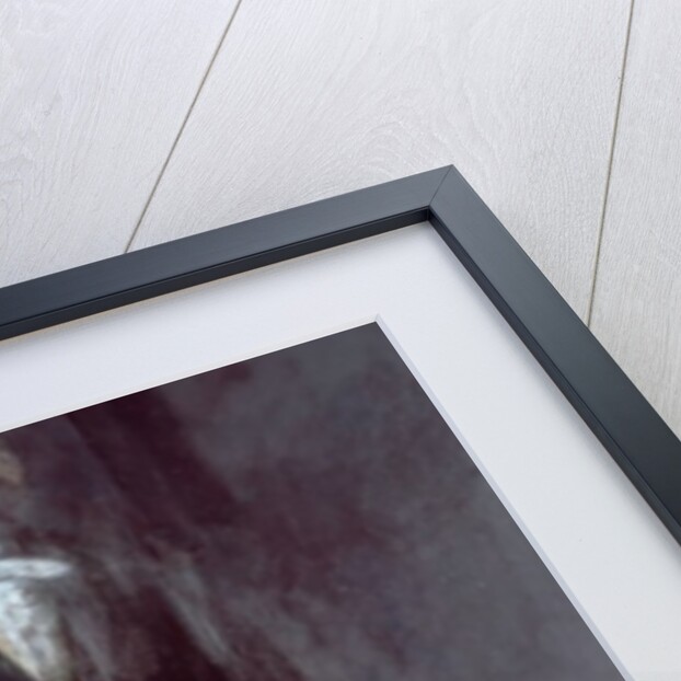 Portrait of Beethoven (unfinished) by Barry Fantoni