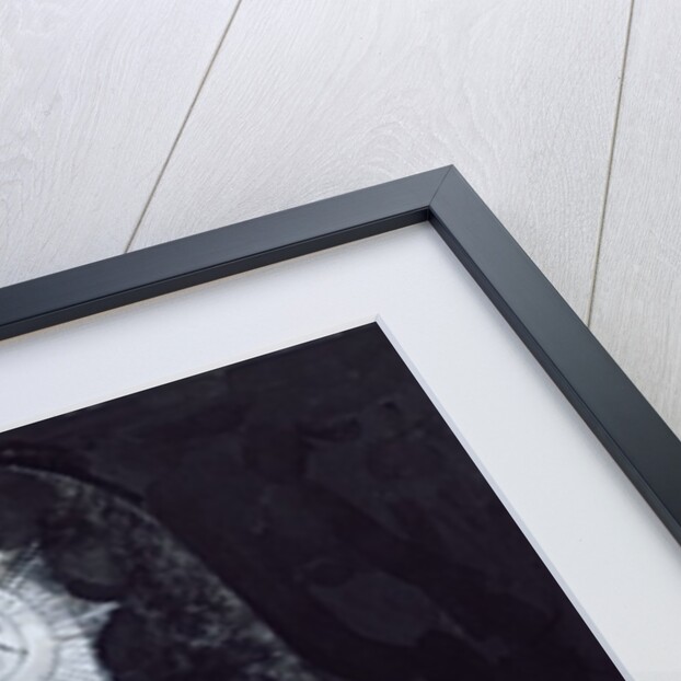 Portrait of Jack Warner as Dixon of Dock Green by Barry Fantoni