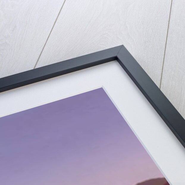 Ruins of Palmyra, 1839 by Charles Theodore (1814-88) Frere