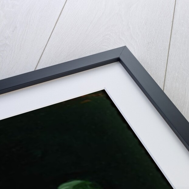 Still Life - Bottle and Fruit by George Leslie Hunter