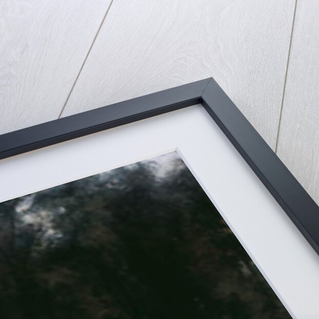 Kensington Gardens by Paul Fordyce Maitland