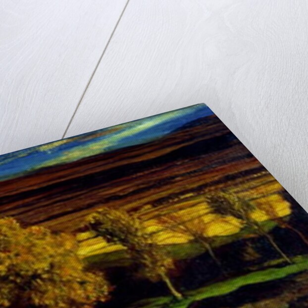 Castle Campbell by David Young Cameron