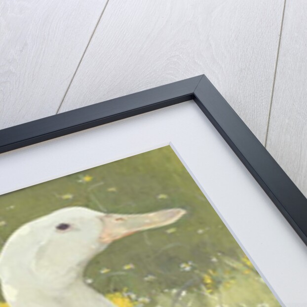 The White Drake by Joseph Crawhall