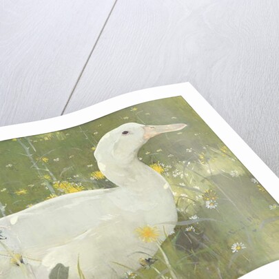 The White Drake by Joseph Crawhall